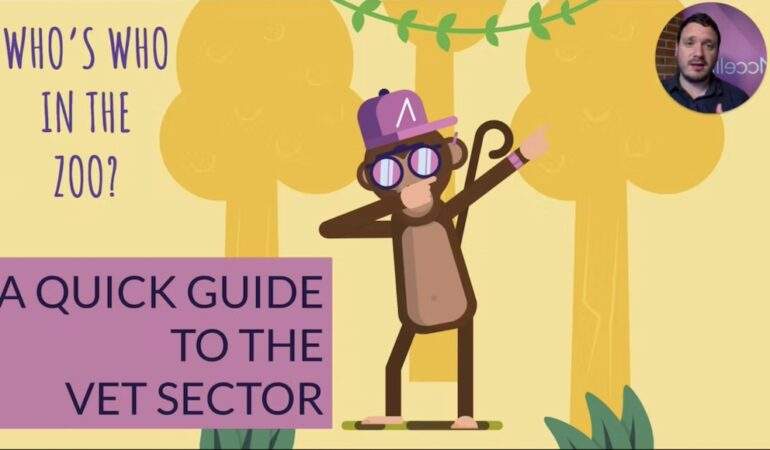A Guide to the VET Sector in Australia