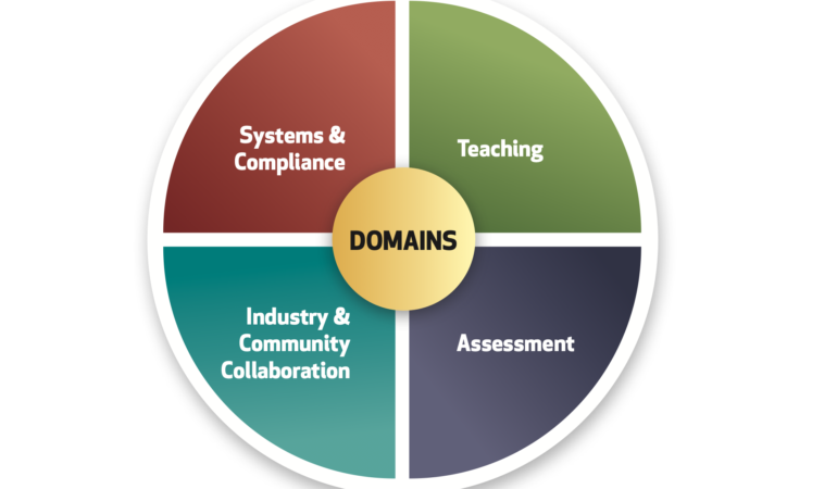 IBSA VET practitioner capability framework